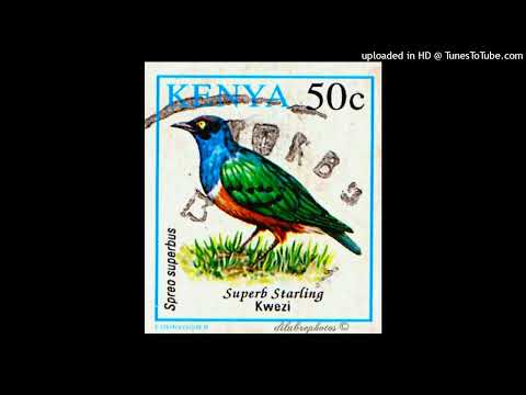 Benga~Kamba Music ( Kenya🇰🇪)-Kimangu Boys Band 🎸🎶🔥🇰🇪