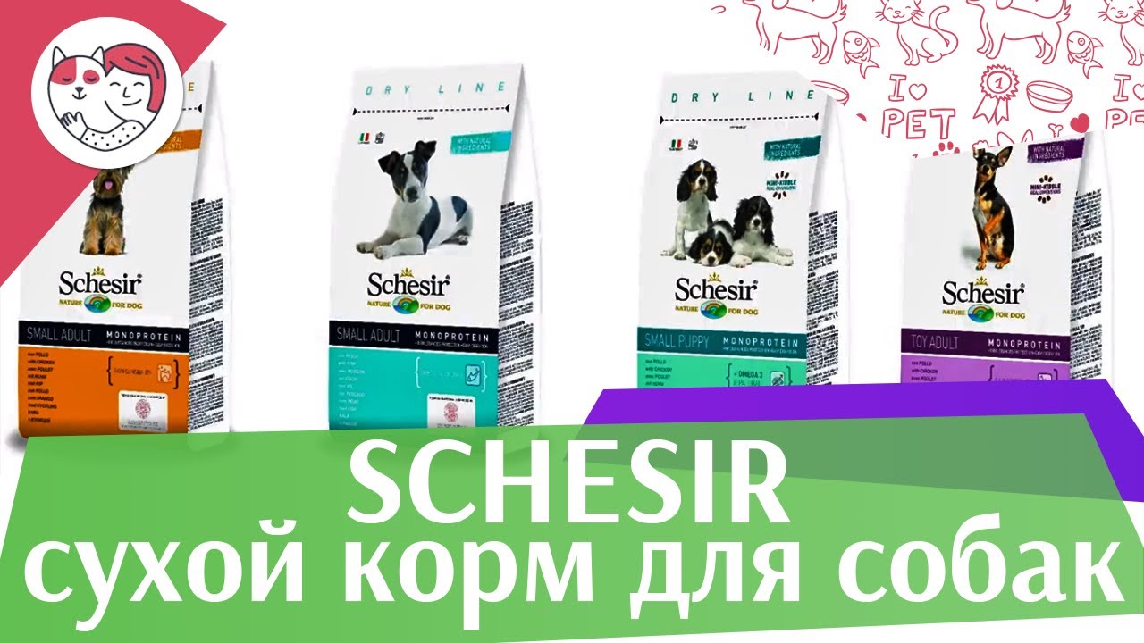 Schesir сухой корм для собак на ilikepet