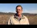 Video preview for Pruning Fruit Trees: Vase Shape
