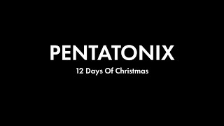 Pentatonix - 12 Days Of Christmas (1 hour loop)