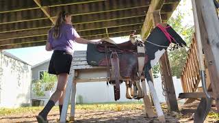 Run barrels with me and my wooden horse.