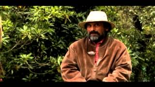 Download lagu Comportamiento sexual de humanos y animales, este sábado en Los Animales tienen la Palabra mp3 Download lagu Comportamiento sexual de humanos y animales, este sábado en Los Animales tienen la Palabra mp3