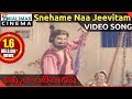 Nippulanti Manishi Movie Snehame Naa Jeevitam Video Song N T R Latha ShalimarCinema