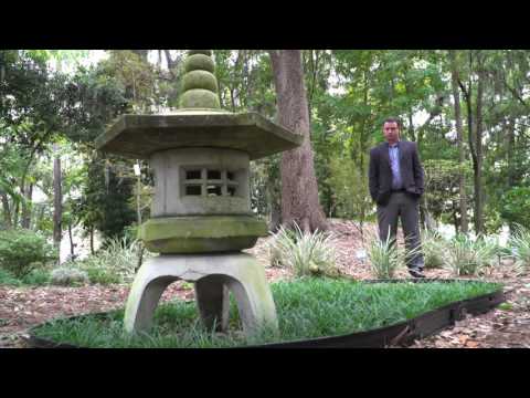 University of Florida Research Landscapes: Adam J. Woods, Ph.D.