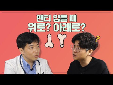 아이콘