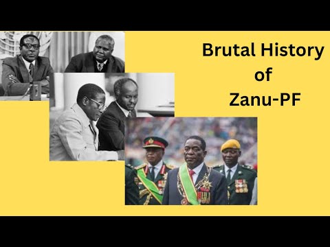 Zimbabwe African National Union - Patriotic Front (ZANU-PF) video 3