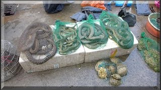 Foshan Street Market near Guangzhou, China | Snakes, Frogs and more