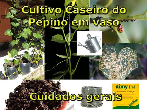, title : 'Cultivo Caseiro de Pepino - A série: Tratos culturais(cuidados gerais)'
