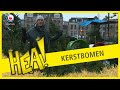 HEA: Kerstbomen uit Gieten in Leeuwarden