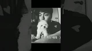 Download lagu pov: junhoe cheat on u over dog named bbang daeng 😭 #ikon #ikonic #june #junhoe #yg #blackpink #bts mp3