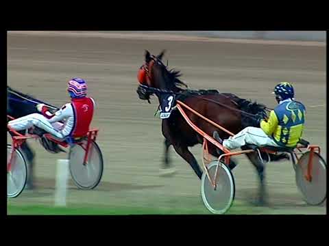 Napoli Trotto 12/11/2021 - 7ª corsa