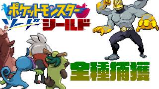 ポケモン全917匹集めるまで終われない旅 Part14【剣盾】