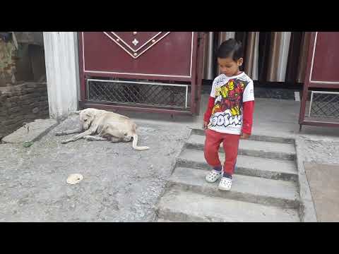 Good Habits। I Love Dog 🐶#youtubeshorts #ytshorts