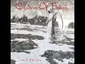 Children Of Bodom - Damaged Beyond Repair