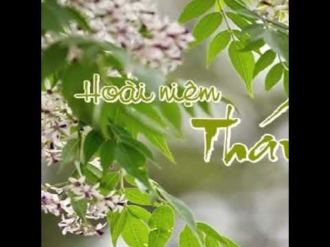 Bâng Khuâng tháng ba - Hoàng Thông