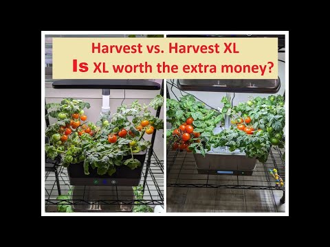 Aerogarden Harvest Vs. Harvest XL Hydroponics - Red Cherry tomatoes - Is XL worth the extra money?