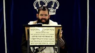 דף היומי עבודה זרה דף ח' ע"ב ¤ הרב נתנאל אברז'ל ¤ בית הכנסת "בית מרדכי" (מוסדות תורת דוד) - התמונה מוצגת ישירות מתוך אתר האינטרנט יוטיוב. זכויות היוצרים בתמונה שייכות ליוצרה. קישור קרדיט למקור התוכן נמצא בתוך דף הסרטון