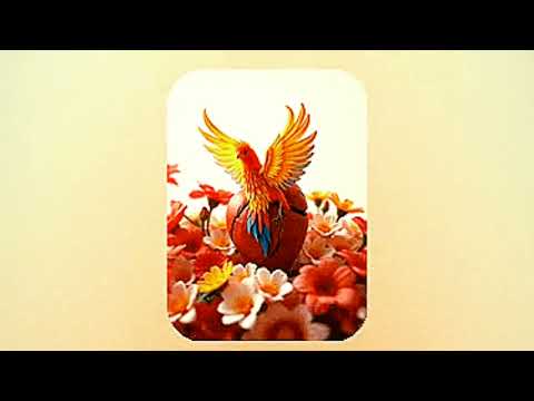 Dil ki Dhokhebaazi: Ya Mohabbat Ya Nafrat... (GZ paradox). #EmotionalConflict #ZindagiKhelNahi