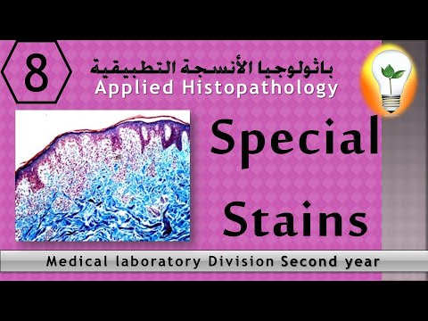 Applied Histopathology (8) special stains أشهر الصبغات الخاصة في معمل الباثولوجيا