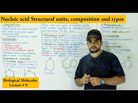 Introduction to nucleic acid and nucleotide |  types of nucleotides |