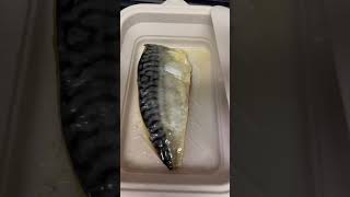 【検証！】レンジで焼き魚できるの？DAISO VS カインズ　#shorts #簡単レシピ #簡単料理 #家庭料理 #料理 #検証動画