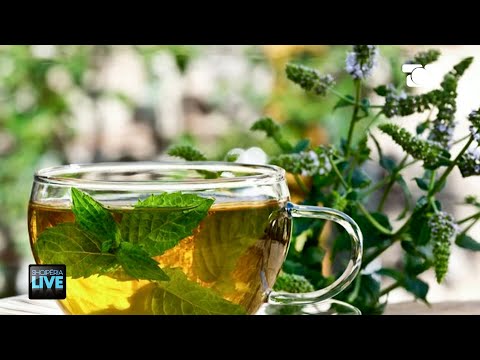 Impotenca seksuale, ushqimet që duhet të hanë meshkujt për  të rritur ereksionin - Shqipëria Live