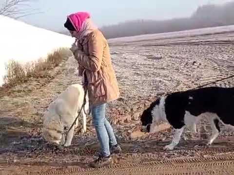 Salem, Pampinea Dezember 2025