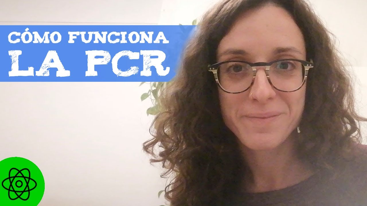 ¿Qué es la PCR y para qué sirve? 😷 Usos de la prueba PCR