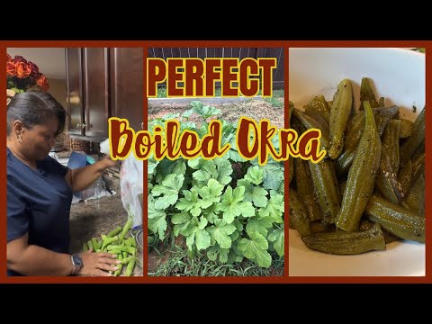 Perfectly Boiled Okra Every Time: Here’s How