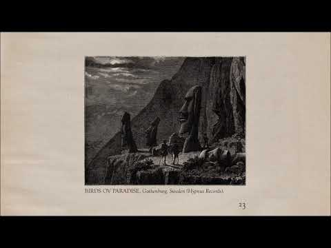 The Memoir - Page 23: Birds ov Paradise