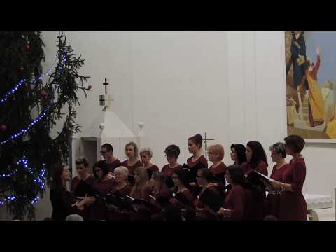 Zenski hor "Allegre"-Joy to the World