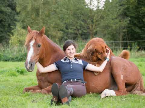 Talina Lorei - Happy Birthday Obelix