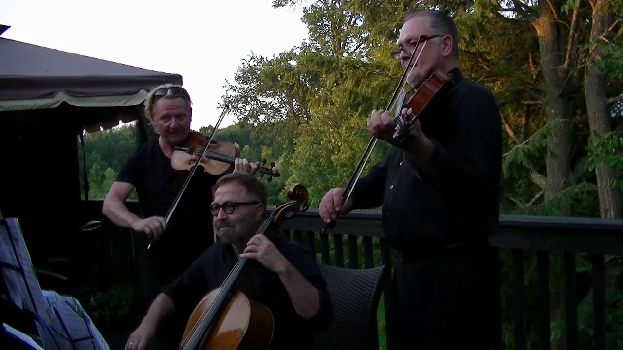 Promotional video thumbnail 8 for Aurora Quartet