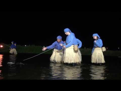 Cormorant fishing at Fuefuki River