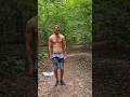 Alone In The Forest
