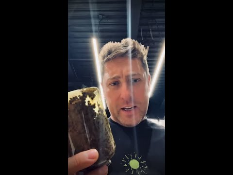 Конопля натуральная варёная Carptoday Baits 1кг №1 Конопля натуральная варёная Carptoday Baits 1кг №1