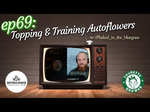 Ep69: Topping & Training Autoflowers Indoors w/ @baked_in_the_bluegrass