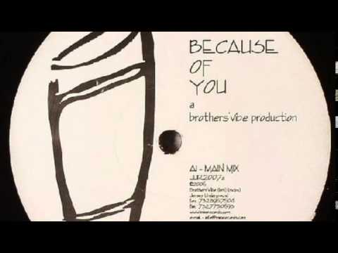 Brothers' Vibe - Because Of You (Raw Skins Mix)