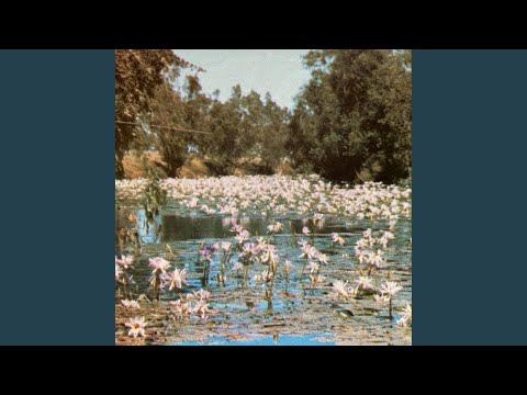 Tacky Landlord - runo plum