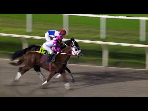 210619 c09 LADY DEVON