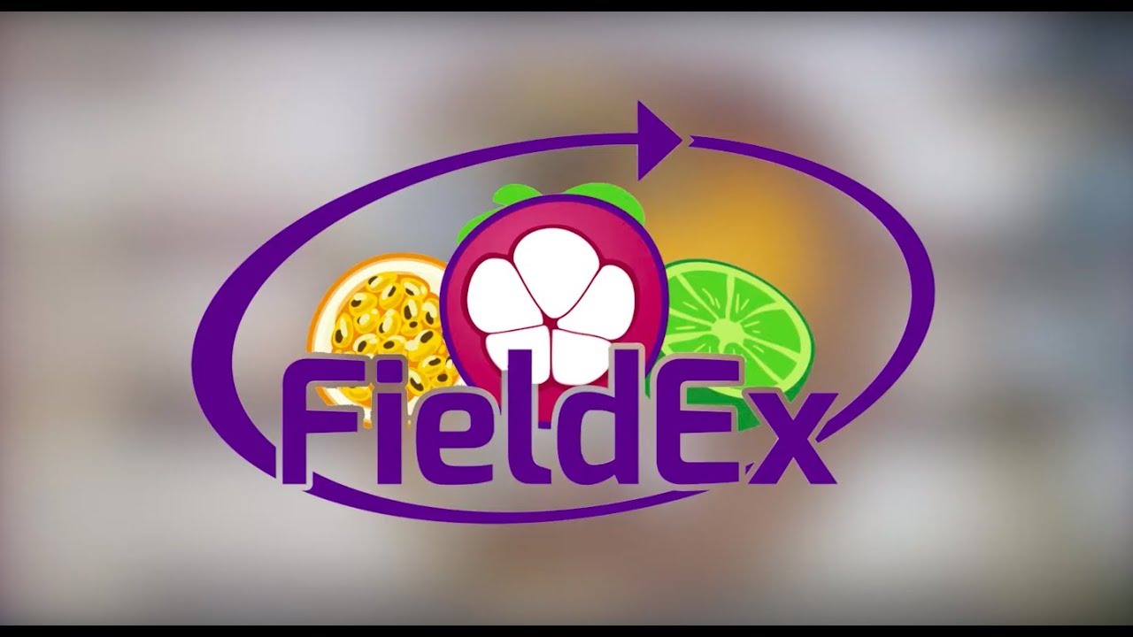 Fieldex - Exotic Fruits from Colombia