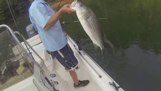 preview picture of video 'GoPro Hero3 Striper Fishing with Extreme Stripers Guide Service on Carters Lake in Georgia'