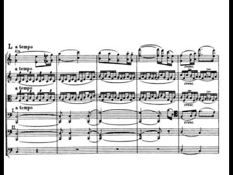 Edward Elgar - Serenade for Strings Op.20 (w/score)