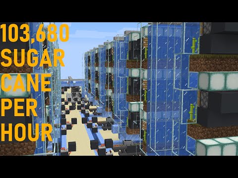 I made a sugar cane farm that yields a shulker box of sugar cane a minute! [TUTORIAL]