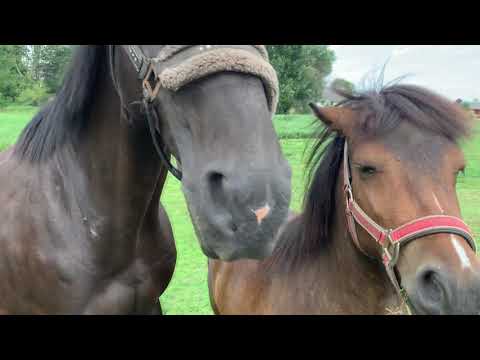 Auftakt Kreiswettbewerb "Unser Dorf hat Zukunft"
