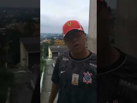 MC Vini ZS - Medley 2020