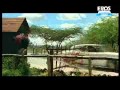 DIVYA BHARTI SUNNY DEOL VISHWATMA MOVIE CLIP Flv