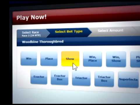 Bet Night Live - Learn to Play