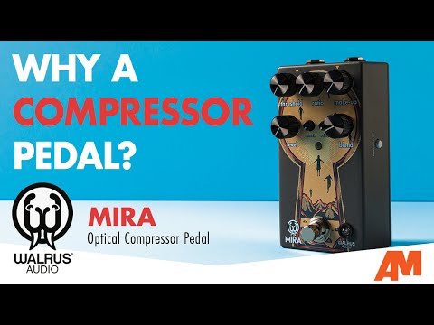 Why You Need a Compressor Pedal (Ft. Walrus Audio Mira Optical Compressor)