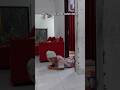 Malam Jumat Suami Istri Shorts Malamjumat Suamiistri Lucu Viral